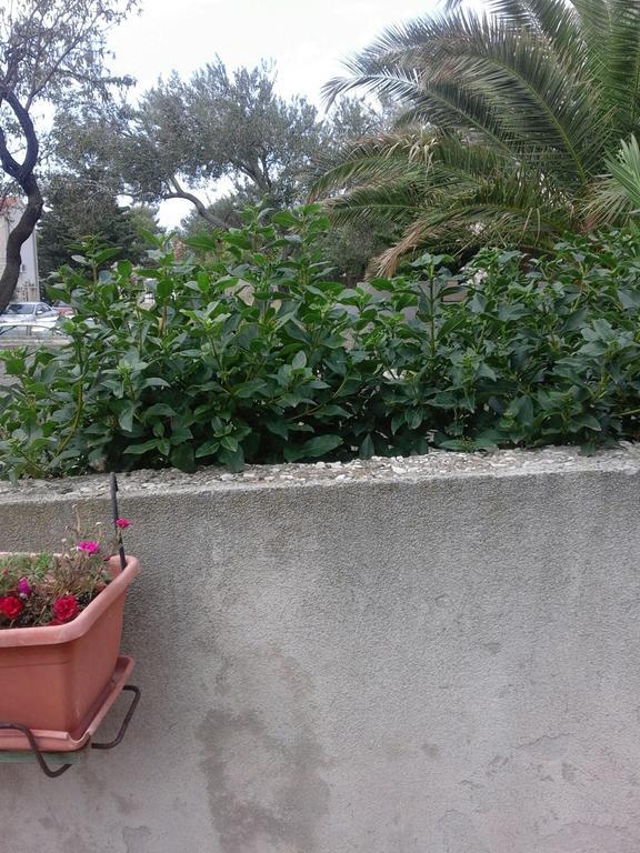 Apartments Jerica Bol Dış mekan fotoğraf
